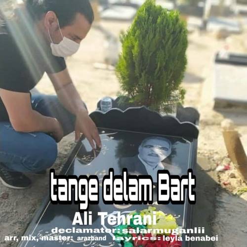 علی تهرانی تنگ دلم برات